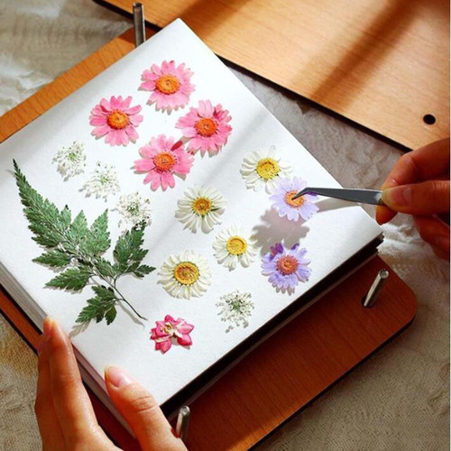 Prensa Juego De Flores Herramientas De Prensa De Flores 9.45