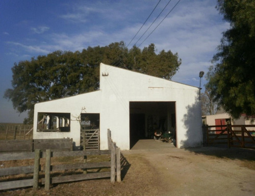Muy Buen Campo En Florida