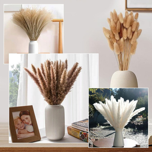 100 Hierba Pampas Secas Natural De Lagurus De Cola De Conejo Color Amarillo