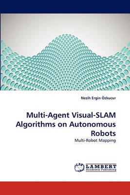 Libro Multi-agent Visual-slam Algorithms On Autonomous Ro...