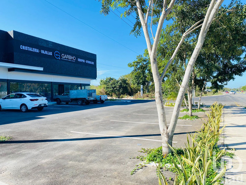 Renta Local Comercial 1 Ambiente Francisco De Montejo