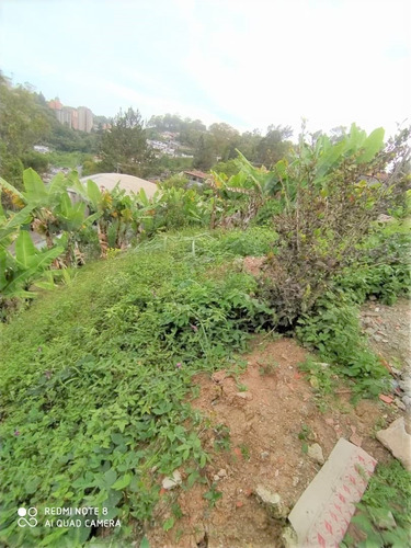 Imagen 5 de 12 de Terreno Urb San Gabriel
