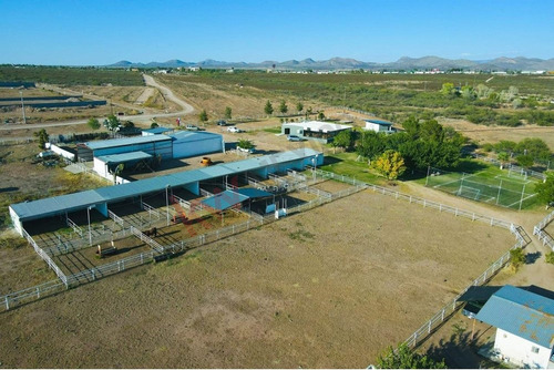 Venta De Terreno Campestre A 200 Metros De La Caseta Chihuahua-juarez En Rancho Grande