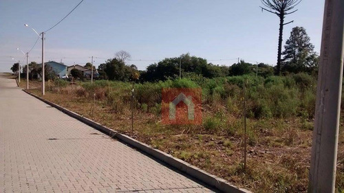 Imagem 10 de 13 de Terreno À Venda, 377 M² Por R$ 142.000,00 - Santa Catarina - Farroupilha/rs - Te0029