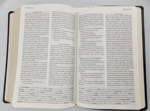 Imagen 7 de 7 de Biblia Textual Iv Edición Imitación Piel Negro
