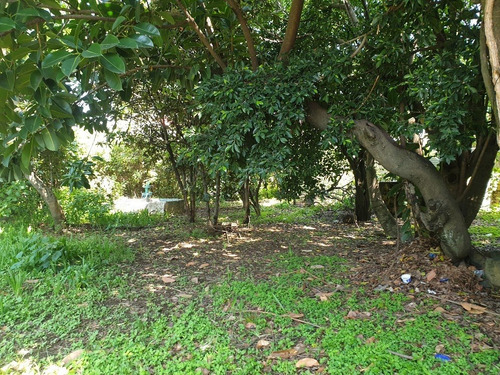Terreno Super Ubicado Totalmente Plano En Ocotepec Cuernavaca