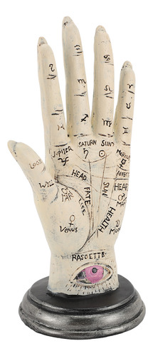 Modelo De Lectura Con La Palma De La Mano, Quiromancia, Líne
