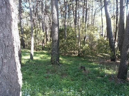 Imagen 2 de 2 de Terreno En Venta En Mar Azul