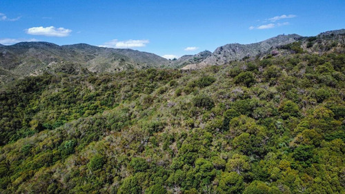 Imagen 10 de 28 de Se Venden 148 Ha De Terreno En Cerro Pan De Azúcar