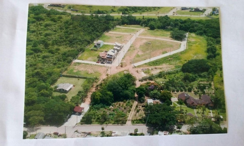 Terreno Em Campo Novo - Lu429497