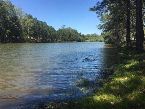 Imagem 4 de 5 de Terreno À Venda, 2500 M² Por R$ 480.000 - Condomínio Terras De São Lucas - Sorocaba/sp, Terreno Com Frente Para O Lago, Excelente Localização - Te0135 - 67640113