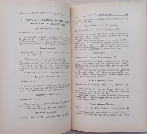Flora De Las Plantas Vasculares De Zapallar Federico Johow (Usado)