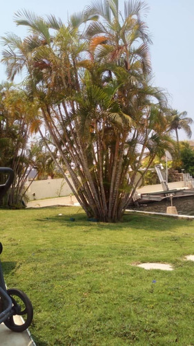 Imagen 8 de 9 de Casa En Venta, Urbanizacion Las Villas, Lecheria
