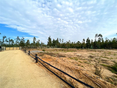 Proyecto Terrenos De 5.000 M2 En Venta - Matanzas