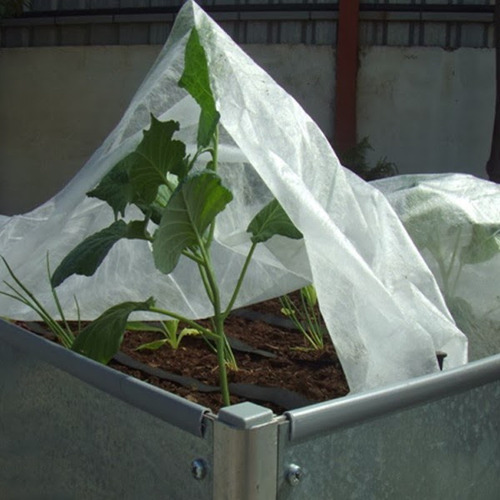 Tela Manta Antihelada 2,40 X 25m Protección Helada Plantas