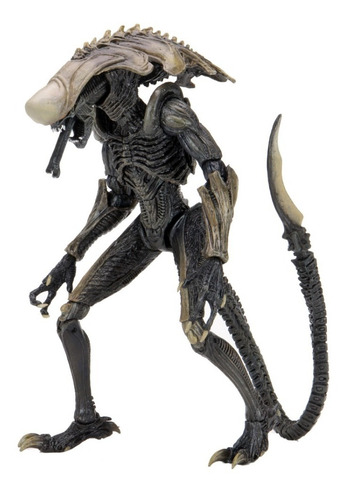 Chrysalis Movie Deco Alien Vs Predator Depredador Neca