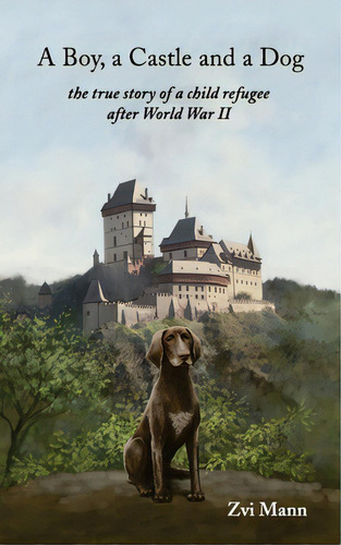 A Boy, A Castle And A Dog, De Mann, Zvi. Editorial Lightning Source Inc, Tapa Blanda En Inglés