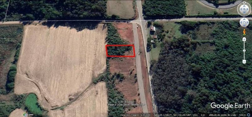 Imagem 3 de 4 de Area Industrial - Linha Palmeiro - Ref: 7735 - V-7735
