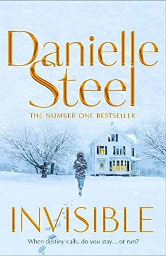 Book : Invisible - Steel, Danielle