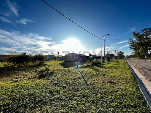 Venta Terreno 550m² En Luis Palacios