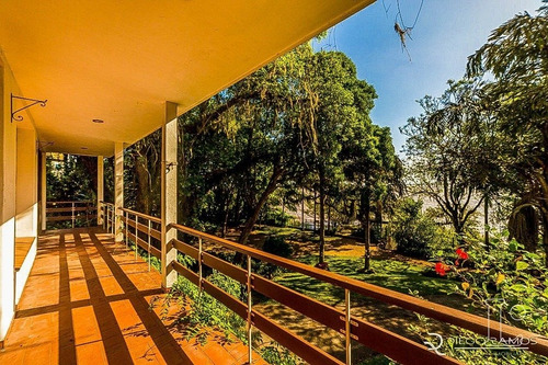Casa Em Vila Conceição Com 3 Dormitórios - Lu273093