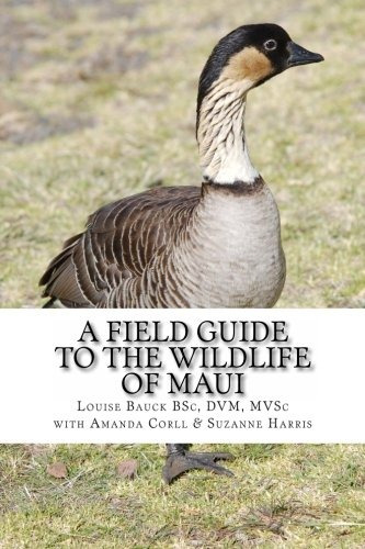 A Field Guide To The Wildlife Of Maui