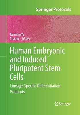 Libro Human Embryonic And Induced Pluripotent Stem Cells ...