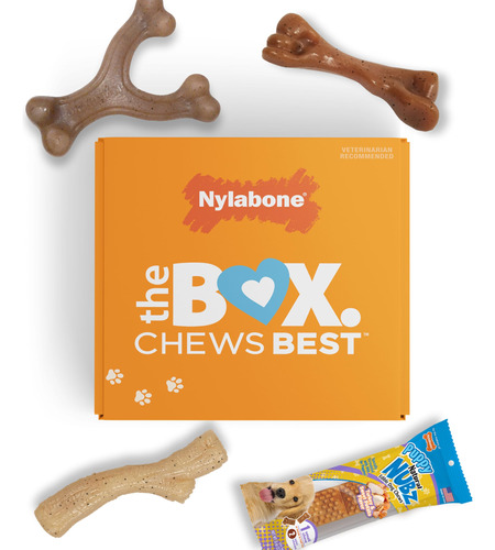 Caja De Regalo Para Cachorros Nylabone - 3 Juguetes Masticab