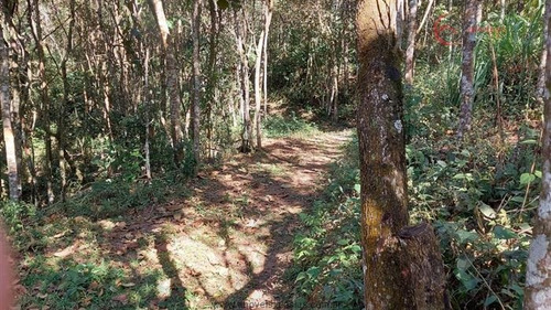 Imagem 5 de 29 de Sítios À Venda Em Mairiporã/sp - Compre O Seu Sítios Aqui! - 1480135