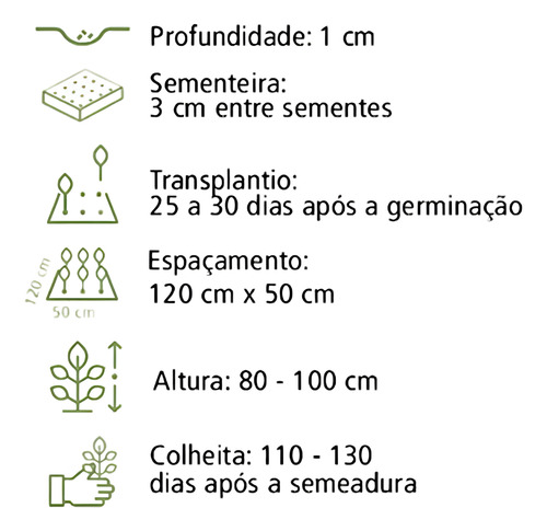 4x Sementes Pimenta Andina (peruana Aji) Alta Produção 400mg