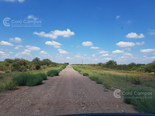 Se Vende Campo Ganadero En Mendoza, Rio Diamante. San Rafael.