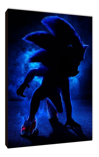 Cuadros Poster Videojuegos Sonic S 15x20 (nic (17)