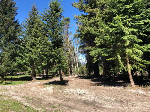 Imagen 20 de 30 de Exclusivo Lote 5018 M2 Con Costa Lago Nahuel Huapi, V. La Angostura,apto 3 Uf