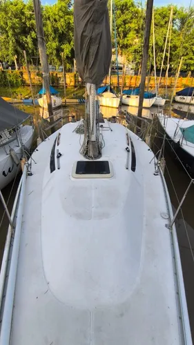 Quantum 29 -