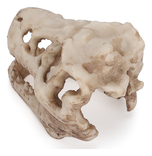 Acuario Artificial Con Decoración De Calavera De Dinosaurio