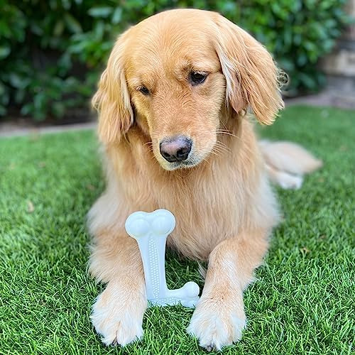 Simpledog Doggie Dooley T-bone Juguete Masticable Para Perro