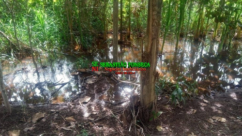 Sitio 7.5 Alqueires Em Redenção Da Serra - 1840
