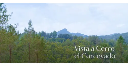 Venta De Lote Vía Don Diego La Ceja