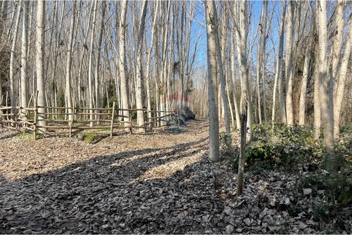Venta De Terreno, Cuesta De Idahue, Coltauco