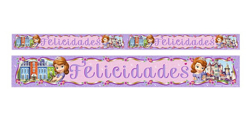 Banner Metalico Princesa Sofia