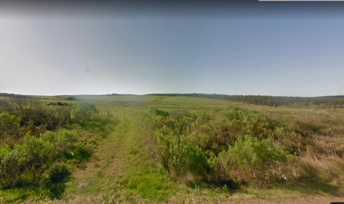 Imagen 6 de 7 de Venta Campo Treinta Y Tres 50 Has Cantera Balasto
