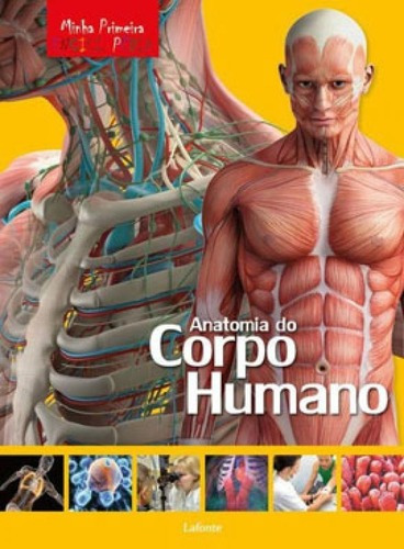 Minha Primeira Enciclopédia - Anatomia Do Corpo Humano, De Aceti/ Scuderi, Laura/ Marco. Editora Lafonte, Capa Mole Em Português