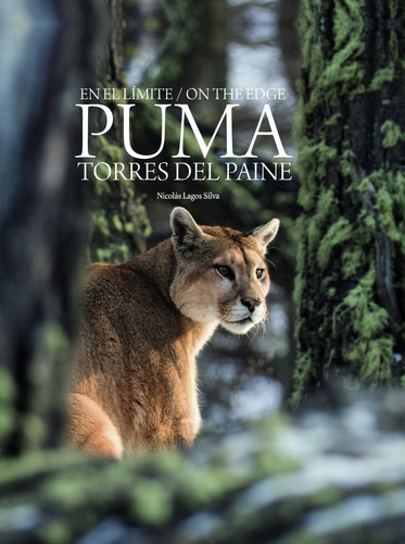 En El Límite: Puma En Torres Del Paine