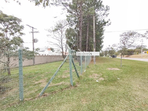 Imagem 14 de 15 de Terreno Comercial - Alem Ponte - Ref: 30742 - V-30742