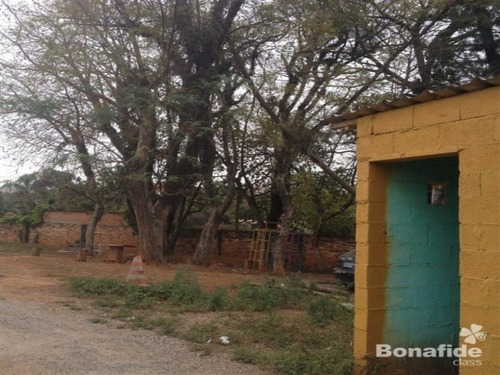 Imagem 3 de 6 de Terreno - Te04966 - 4255673