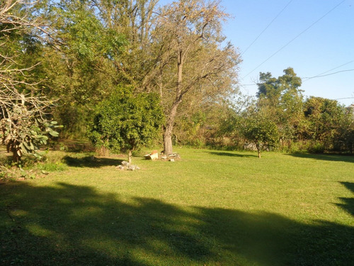 Imagen 6 de 14 de Venta De Campo En Lobos, Establecimiento Avicola Con Casas