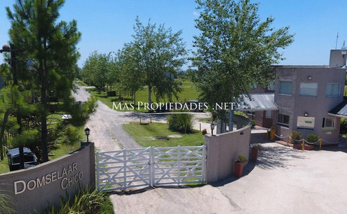 Imagen 7 de 8 de Venta Terreno Domselaar Chico
