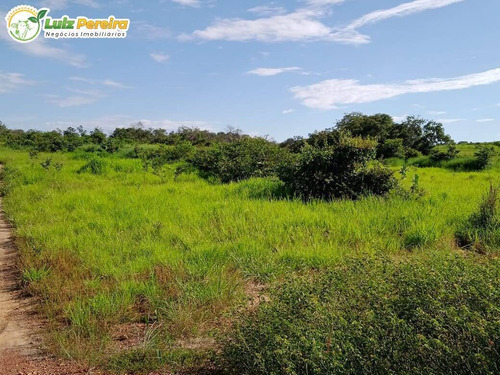 Imagem 1 de 15 de Fazenda Em Breu Branco - Pa - 2.584,56 Hectares (dupla Aptidão) - 2158