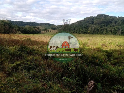 Imagem 19 de 20 de Fazenda À Venda Com 80 Alqueires Paulista No Vale Do Ribeira-sp Ref.: 0858
