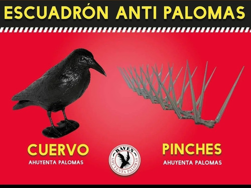 Kit Aves Anti Palomas 3m Pinchos +3 Cuervos Colgá Pegá Raven
